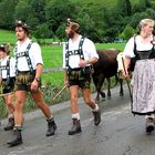 Viehscheid im Allgäu 1