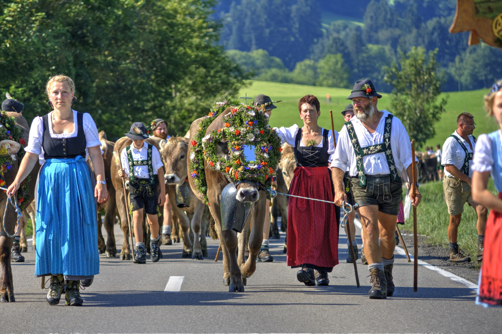 Viehscheid im Allgäu (Maierhöfen)