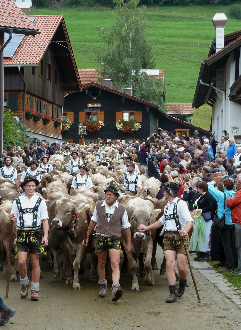 Viehscheid in Gunzesried/Allgäu - 1 (15.09.2012)