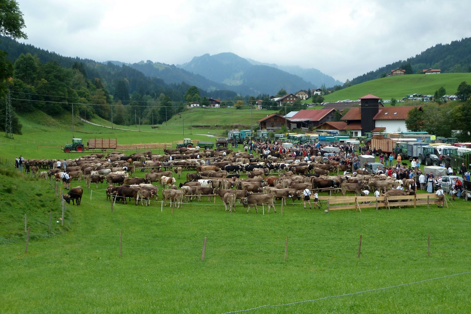 Viehscheid in Gunzesried/Allgäu - 2 (15.09.2012)