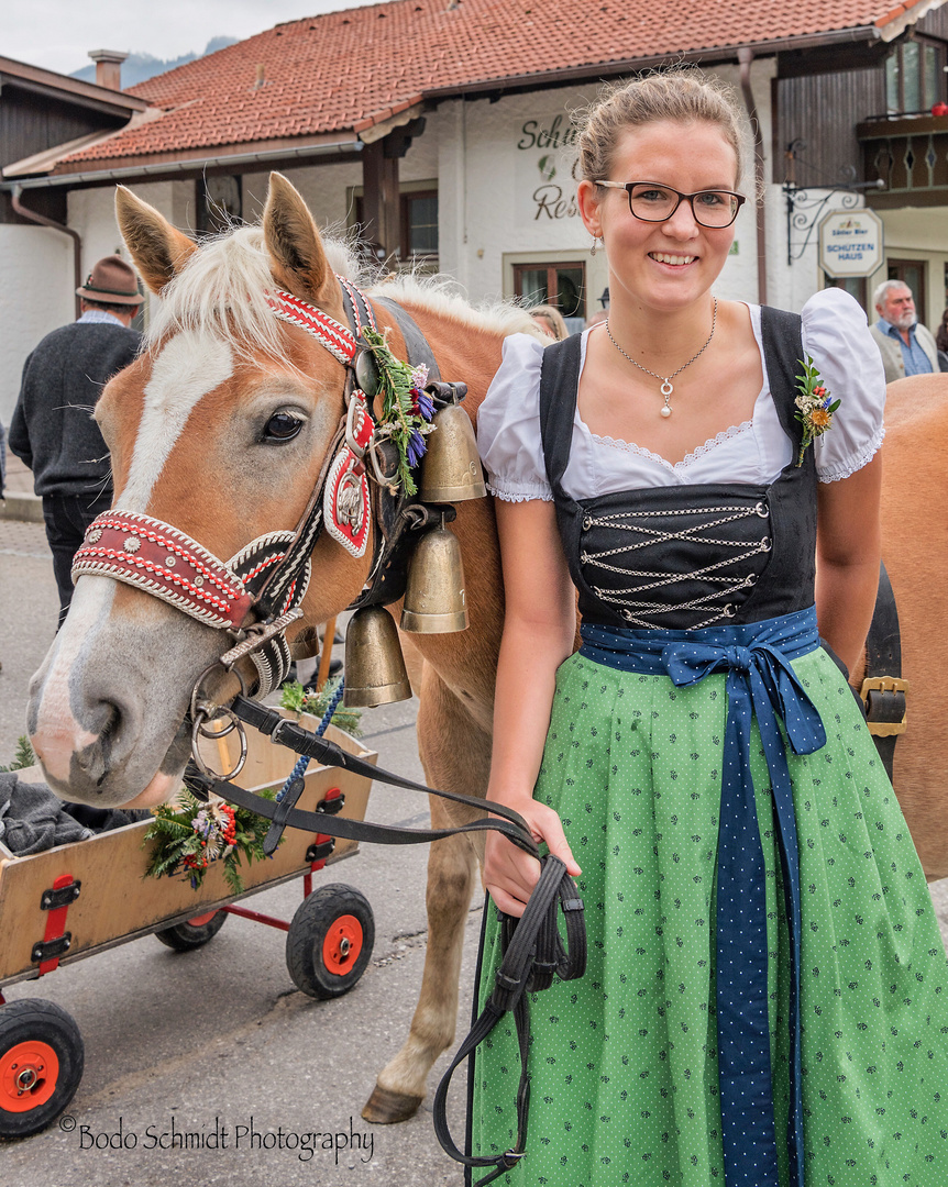 Viehscheid in Wertach 