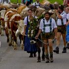 Viehscheid Obermaiselstein 1