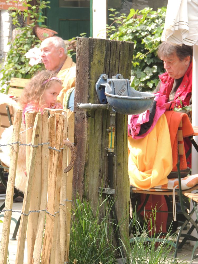 Viehtränke auf einer Restaurantwiese