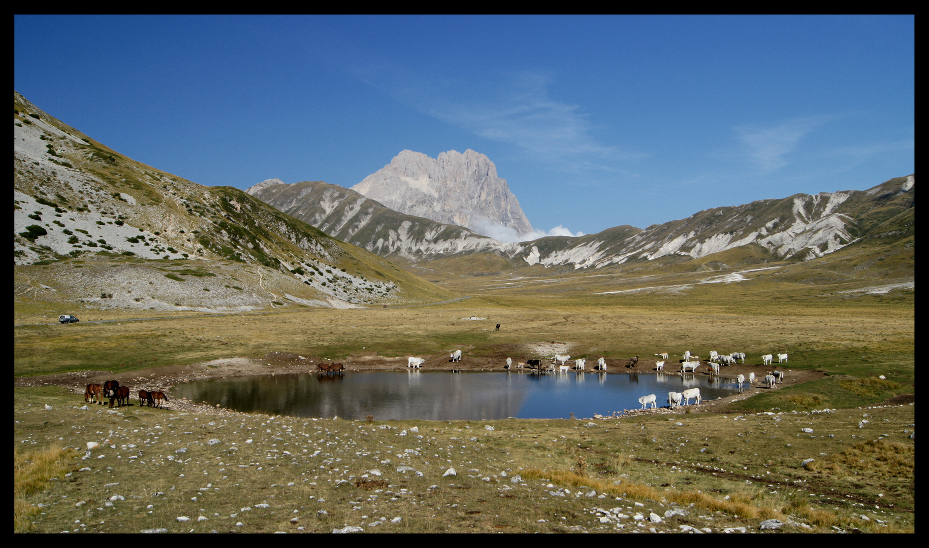 Viehtränke in den Abruzzen