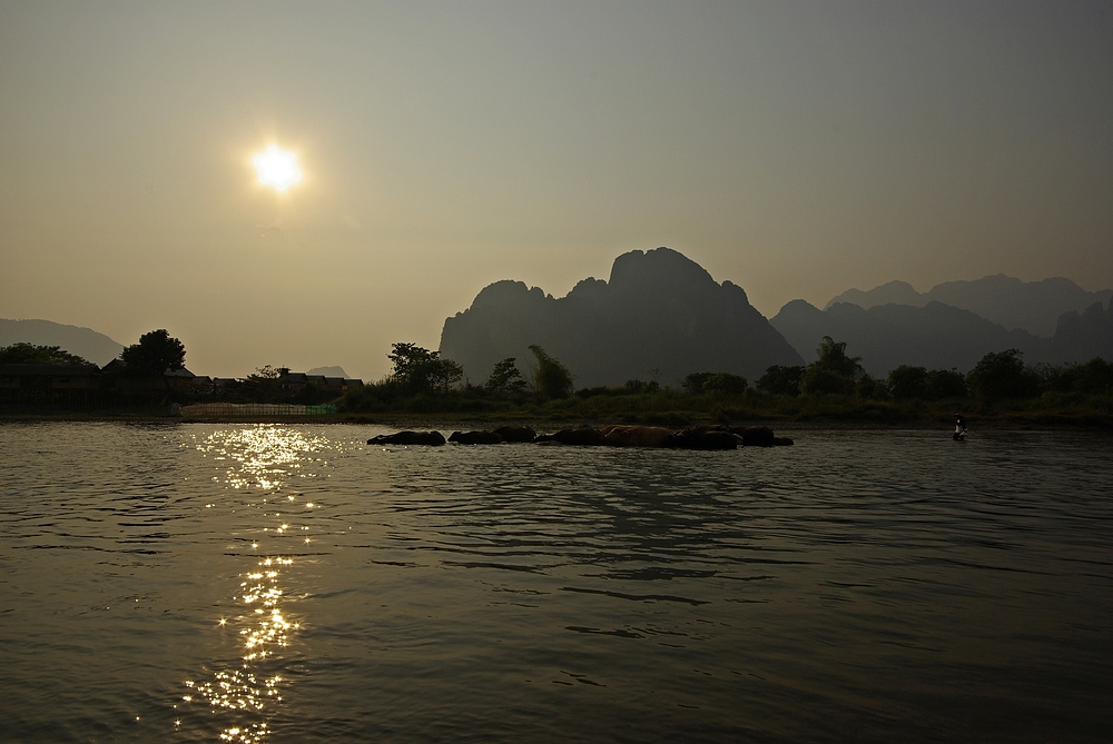 Viehtrieb in Vang Vieng