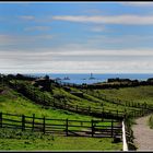 Viehzucht auf Land's End / Cornwall