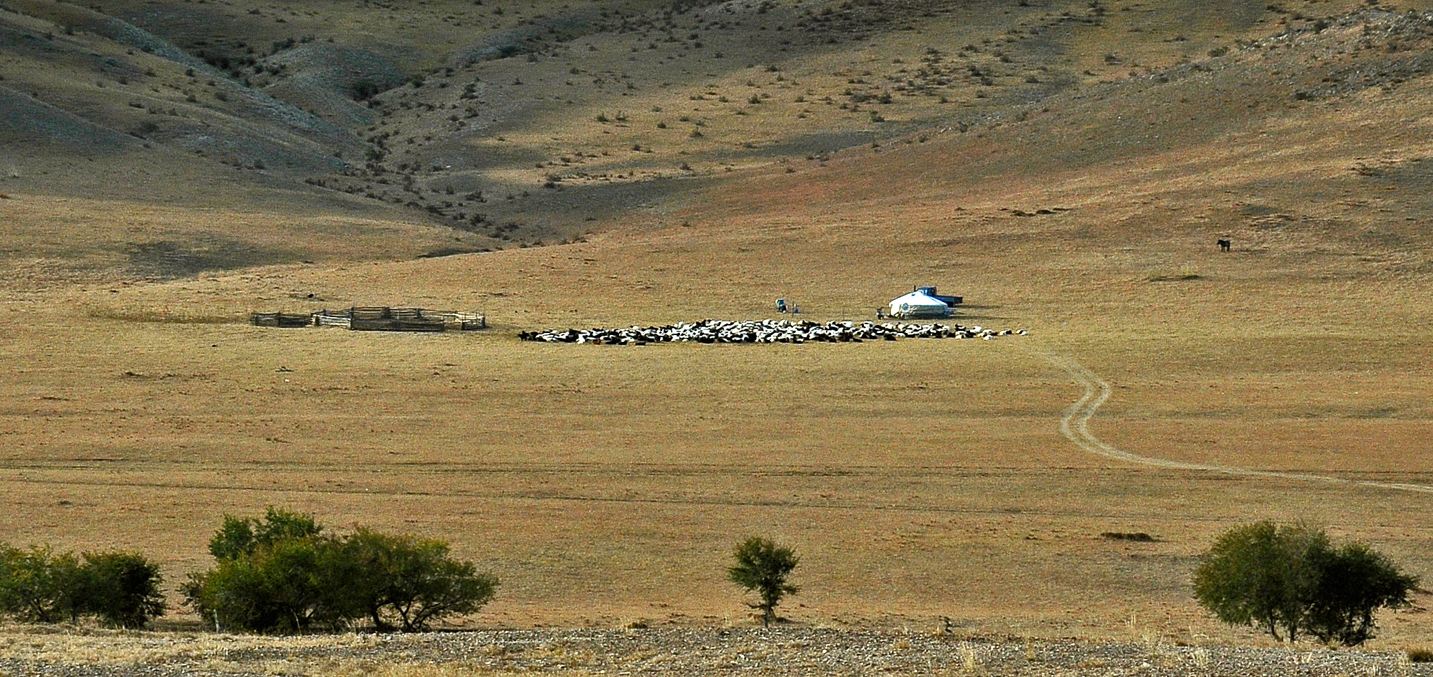 Viehzüchter in den weiten Landschaften der Mongolei