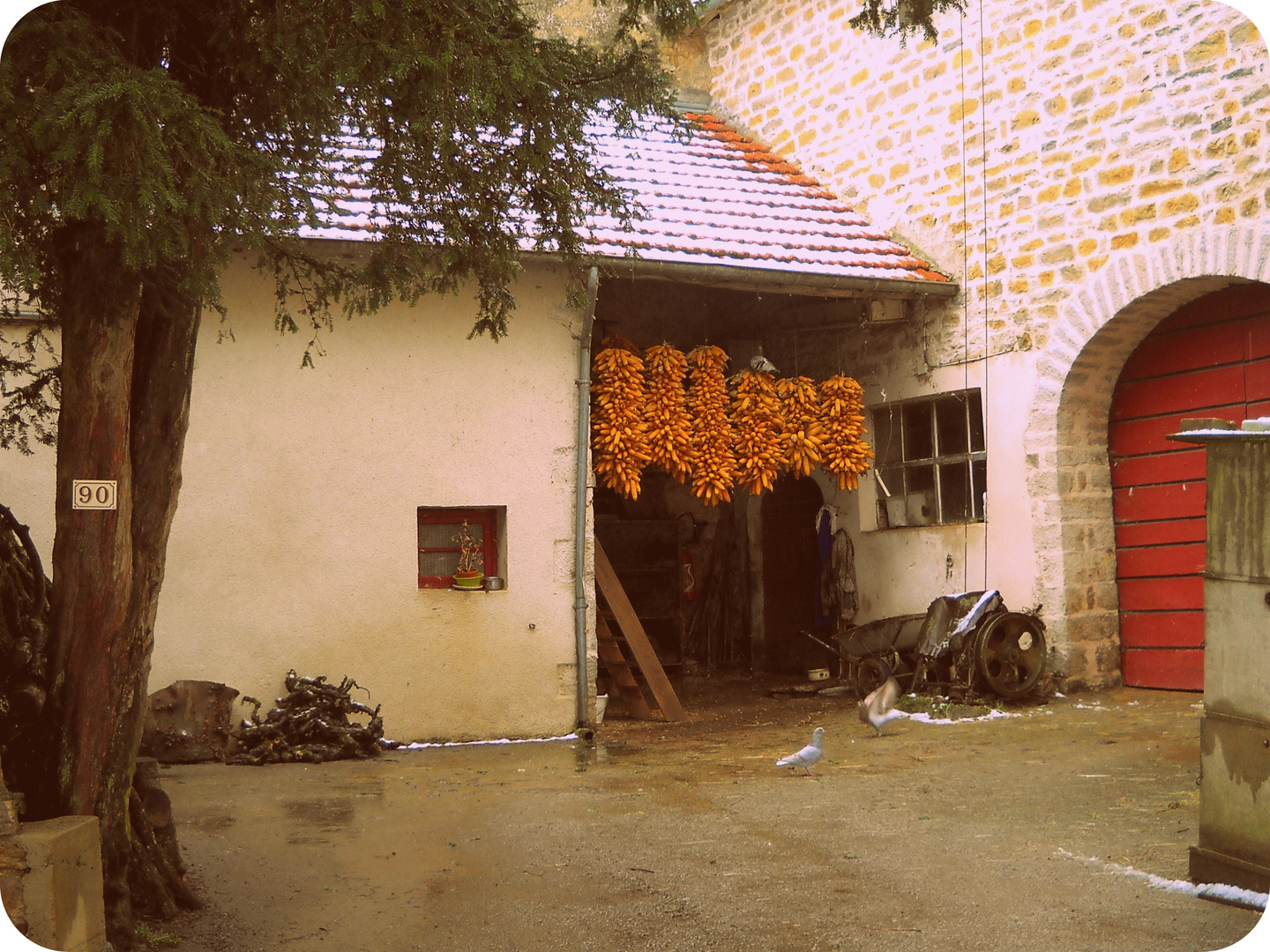 VIEILLE COUR DE FERME