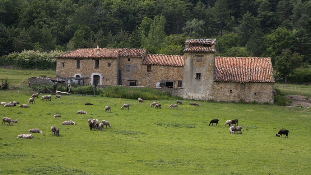 Vieille ferme dans les gorges du Verdon