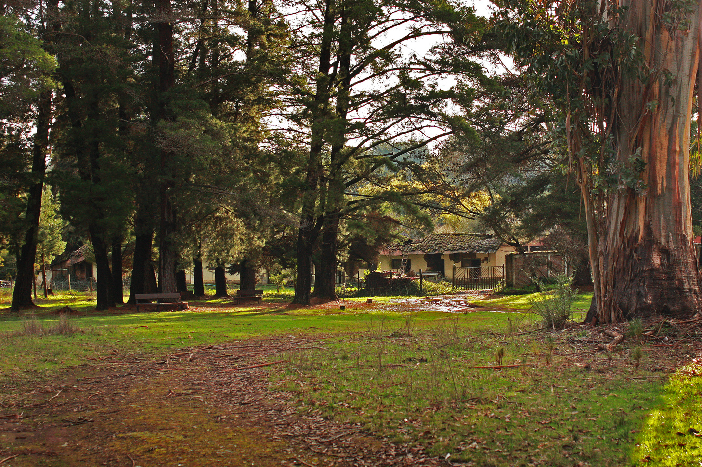 Vieja casa de campo