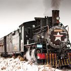 Viejo Expreso Patagònico (La Trochita) Dedicada a inoxbany por su pasiòn por los trenes.