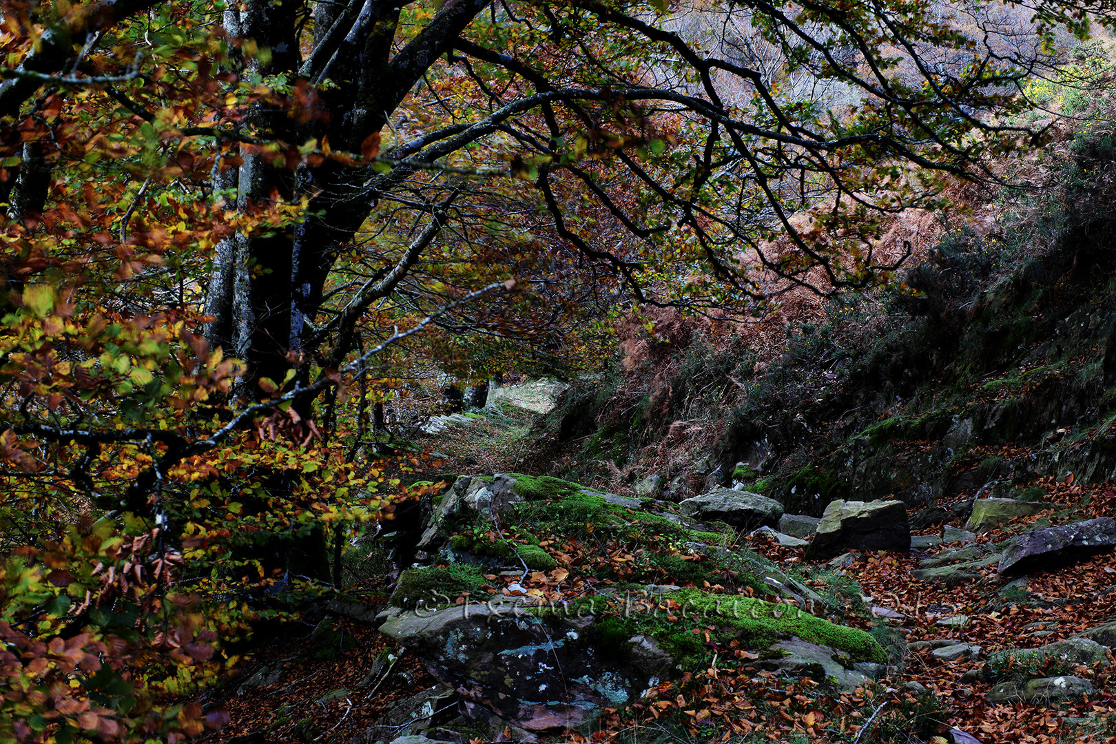 Viejos caminos secretos