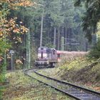 "Viel Betrieb an der Waldbahn"