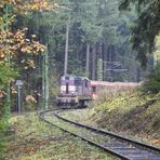 "Viel Betrieb an der Waldbahn"