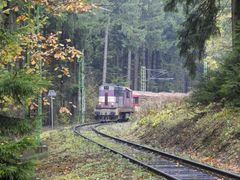 "Viel Betrieb an der Waldbahn"