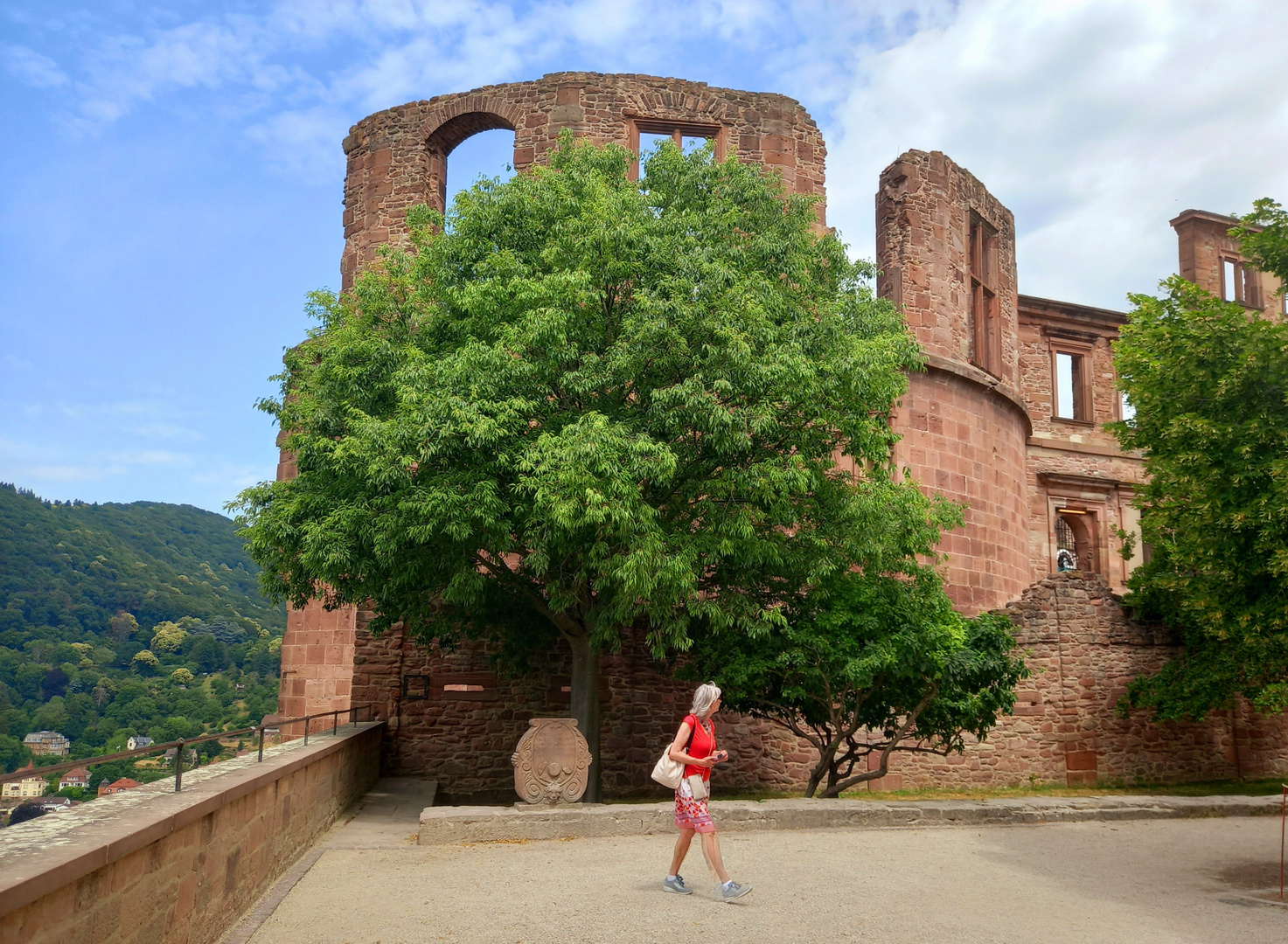 viel Durchblick in Heidelberg 