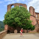 viel Durchblick in Heidelberg 