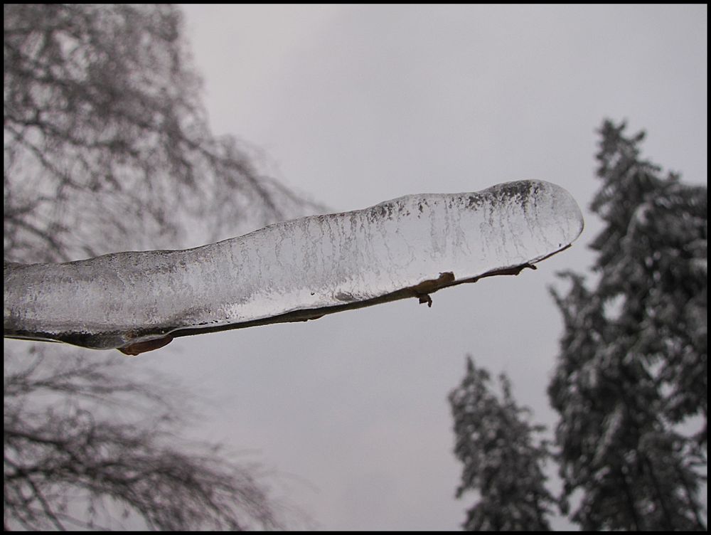 Viel Eis auf wenig Ast