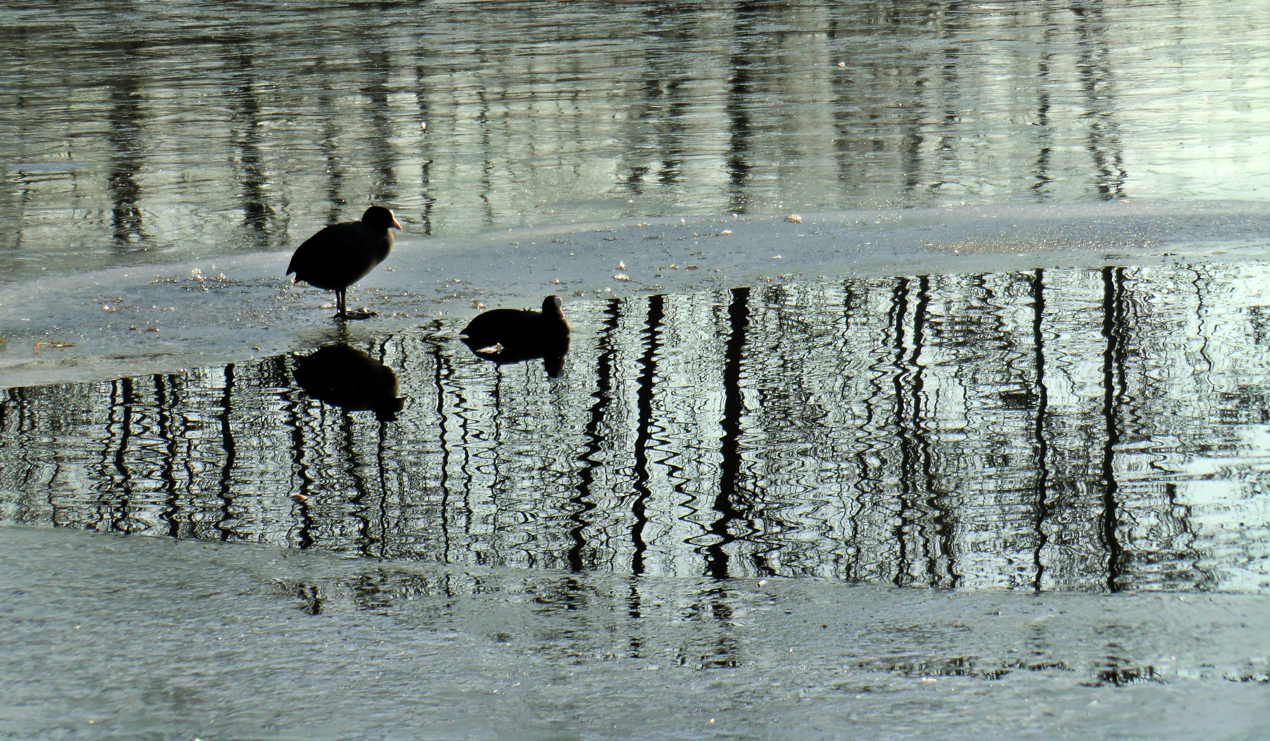 Viel Eis -wenig Wasser - Januar 2011