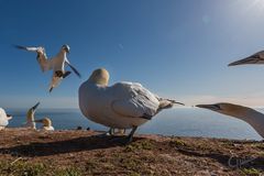 Viel Flugverkehr