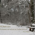 Viel Glück 2011