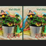 Viel Glück! 2014 (X)