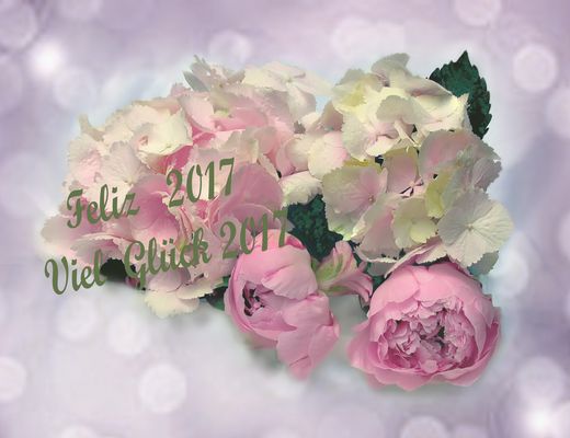 Viel  Glück 2017