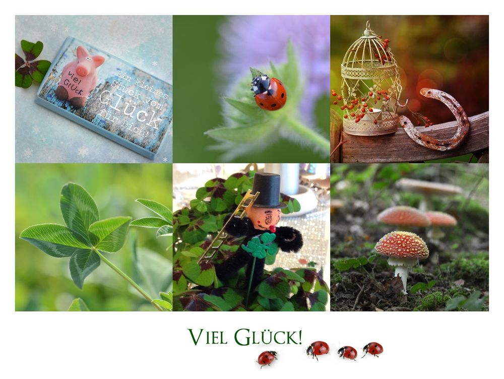 Viel Glück Foto & Bild karte, collage, spruch Bilder auf