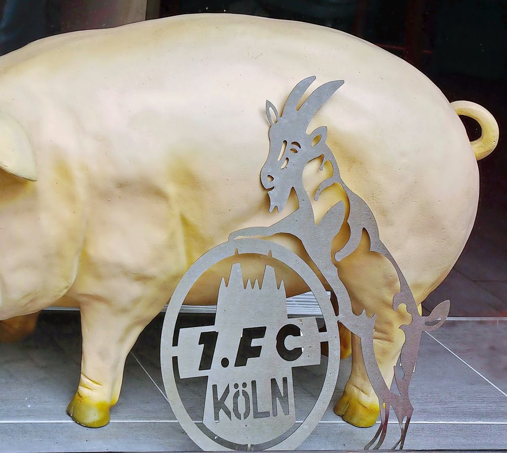 Viel Glück, FC Kölle !! Foto & Bild fußball, reportage, schaufenster