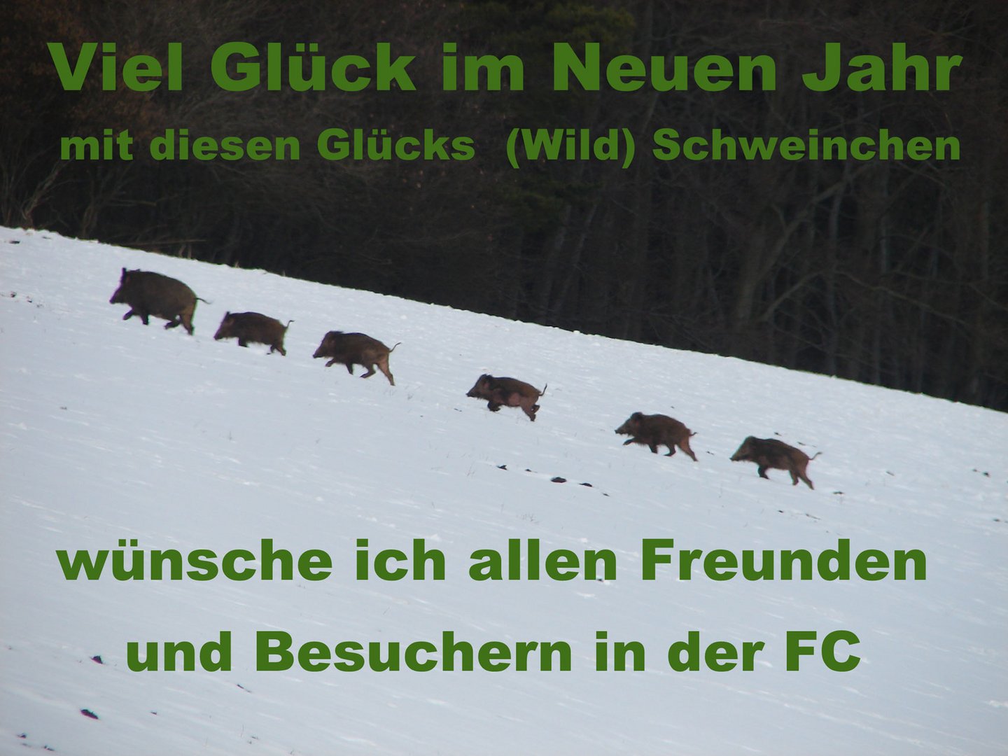 Viel Glück im neuen Jahr