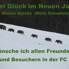 Viel Glück im neuen Jahr