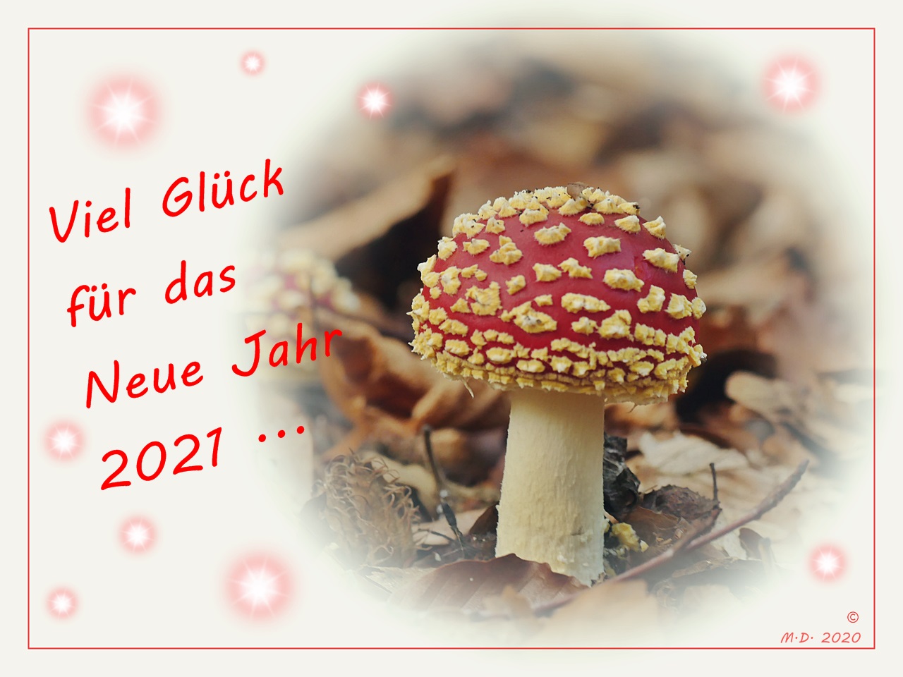 Viel Glück im *Neuen Jahr 2021* ...