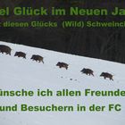 Viel Glück im Neuen Jahr.....