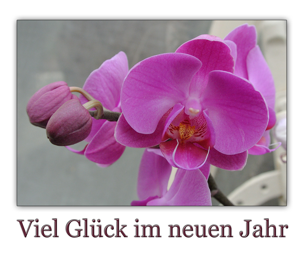 Viel Glück im neuen Jahr Foto & Bild karten und kalender, neujahrswünsche, neujahr Bilder auf