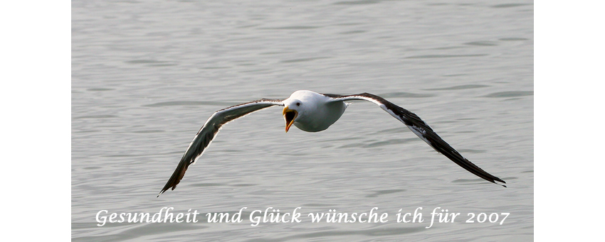 Viel Glück und Gesundheit im Jahr 2007