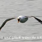 Viel Glück und Gesundheit im Jahr 2007