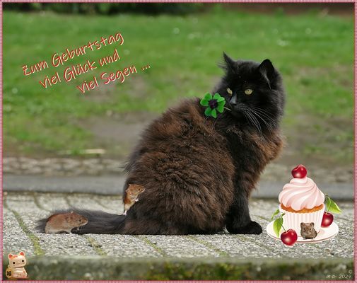 Viel Glück und viel Segen ...