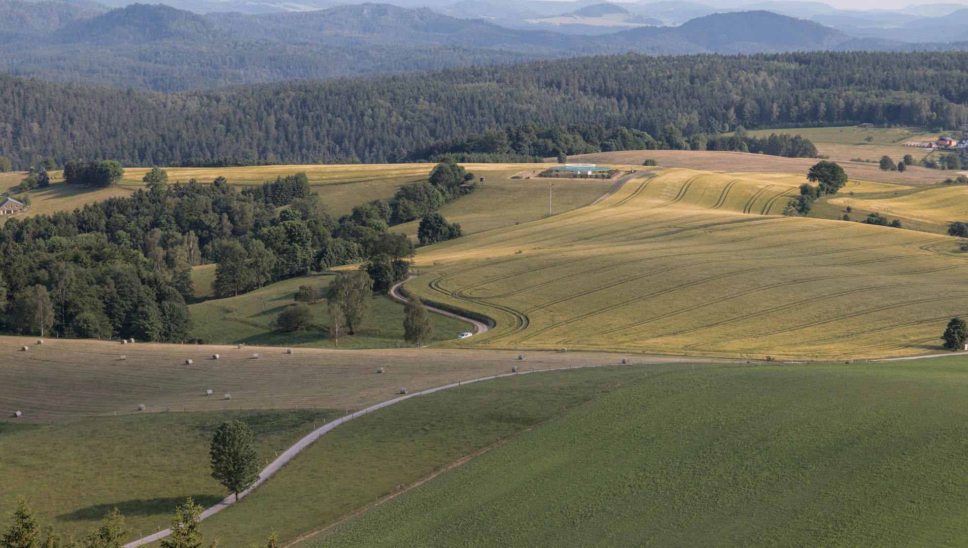 Viel Grün