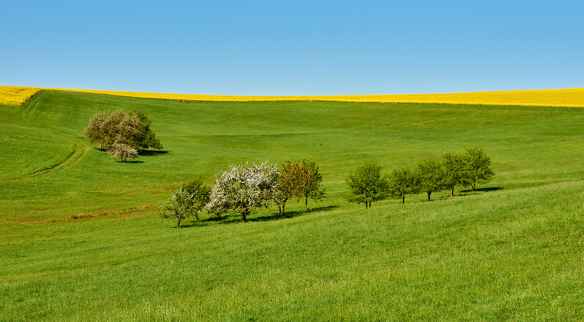 Viel Grün, etwas Blau, ein paar Bäume und ein wenig Gelb ist auch dabei...