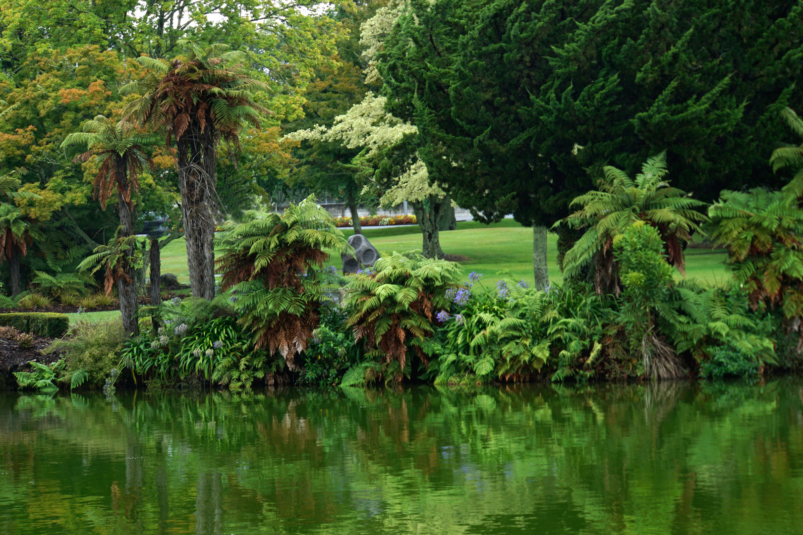 Viel Grün in Rotorua