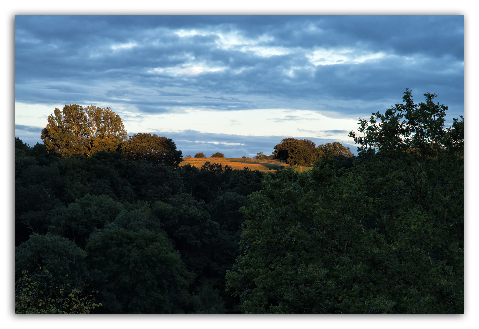 viel Grün und etwas Sonne