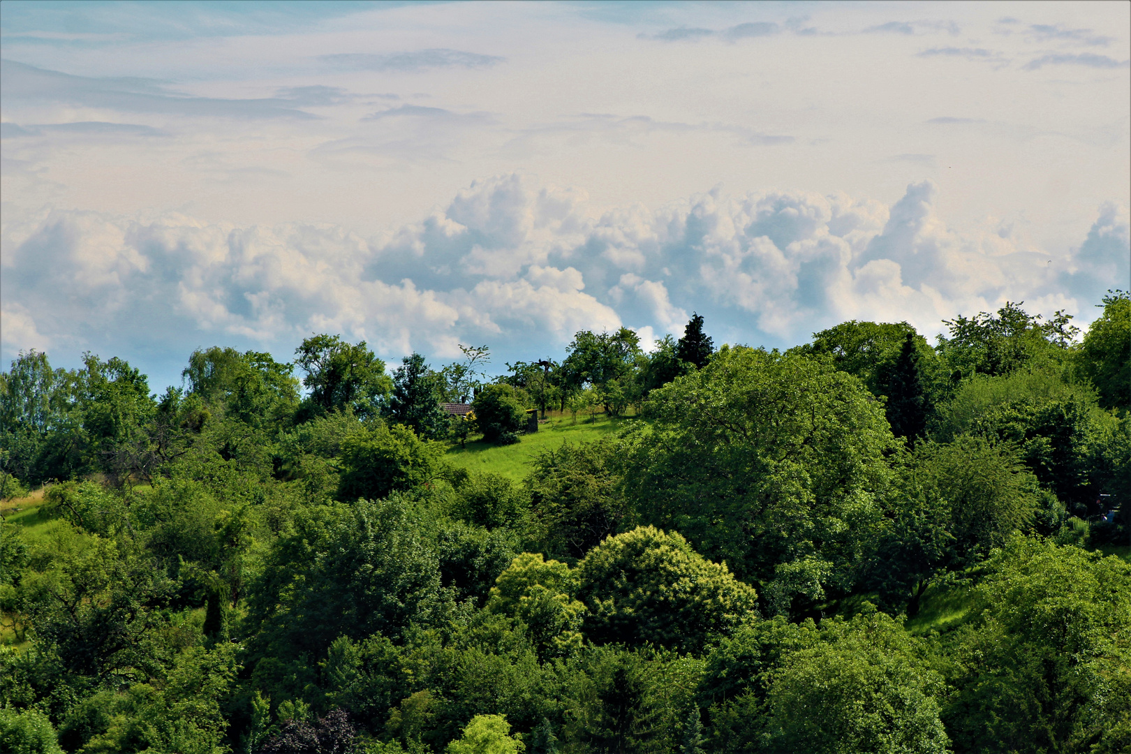 viel grüne Natur  und am Horizont ,