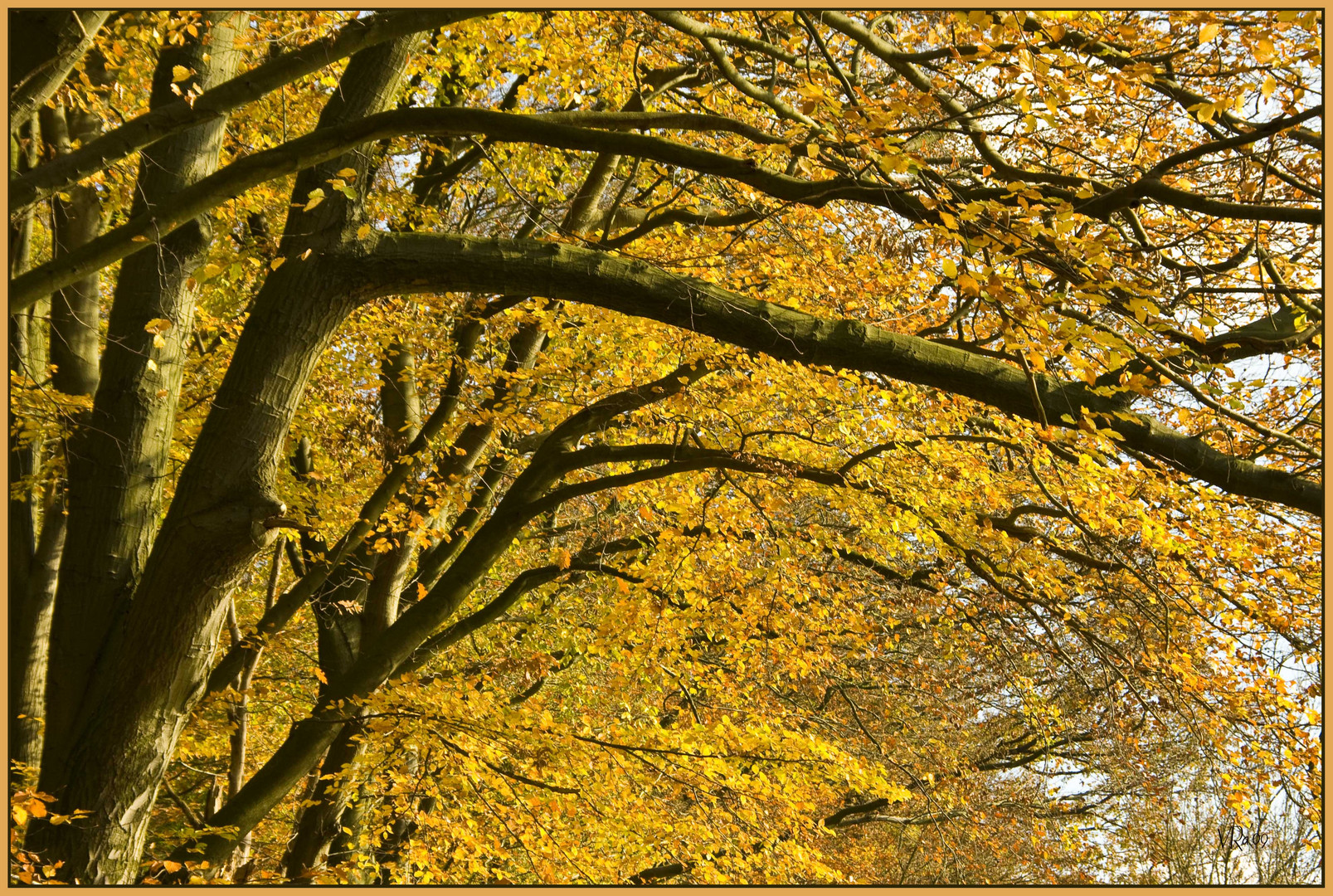 Viel Herbst, viel Farbe