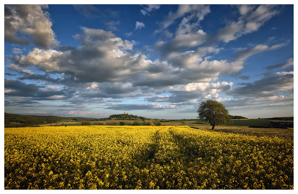 viel Himmel