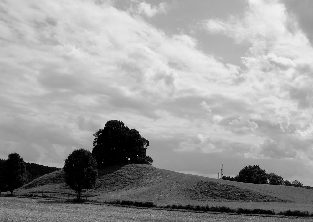 Viel Himmel . Etwas Baum