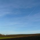 Viel Himmel über dem Feld
