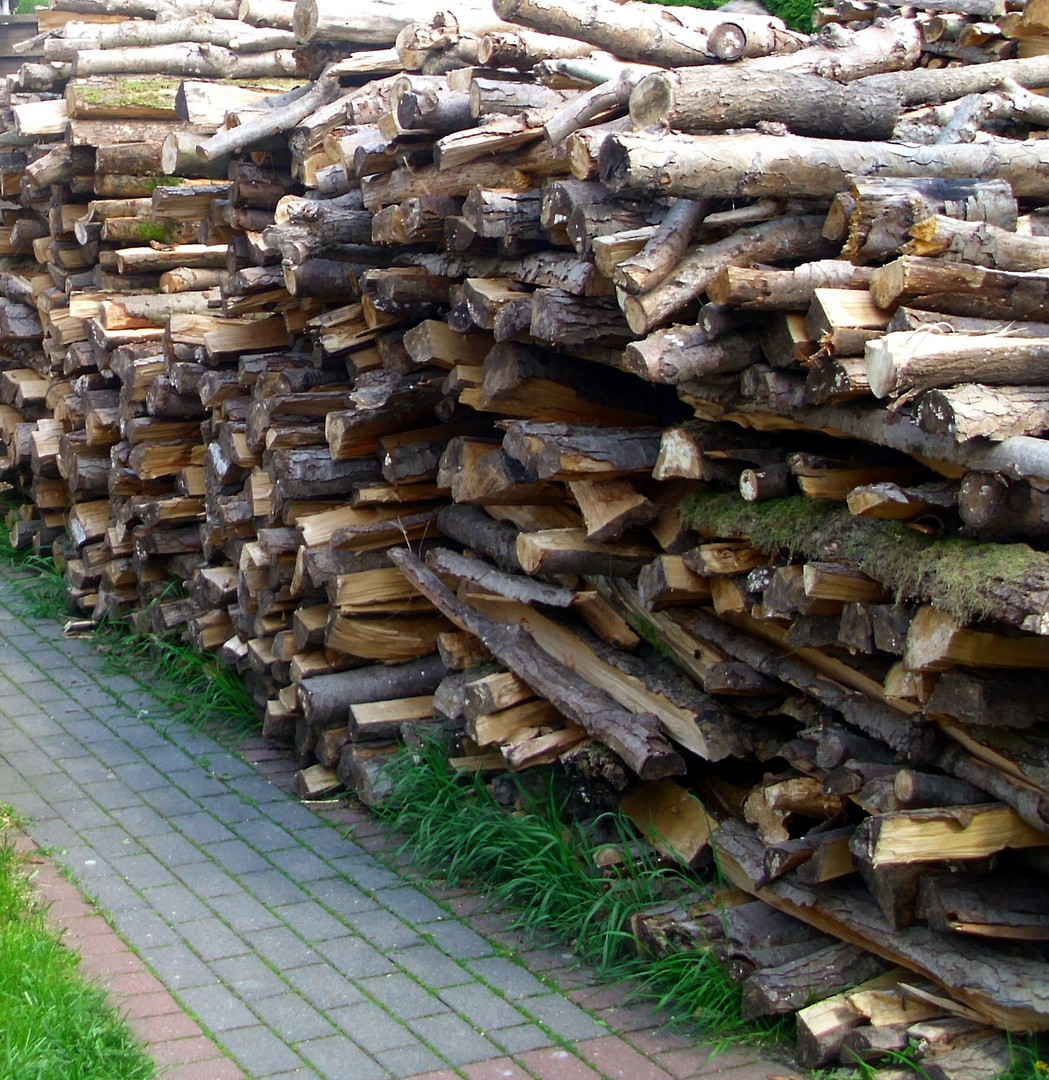 ... viel Holz ...