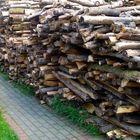 ... viel Holz ...