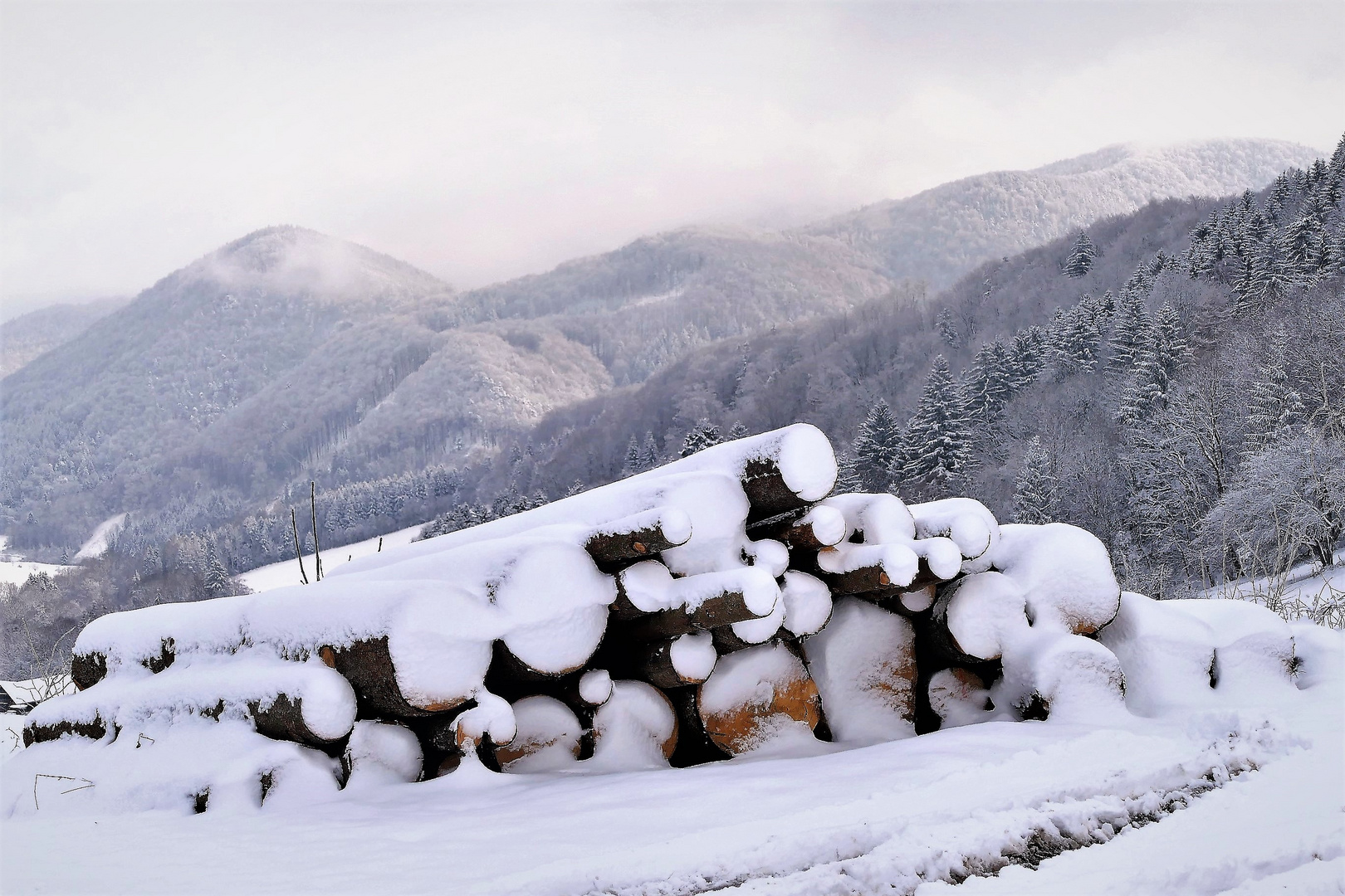 Viel Holz (äh Schnee) vor der Hüttn