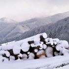 Viel Holz (äh Schnee) vor der Hüttn